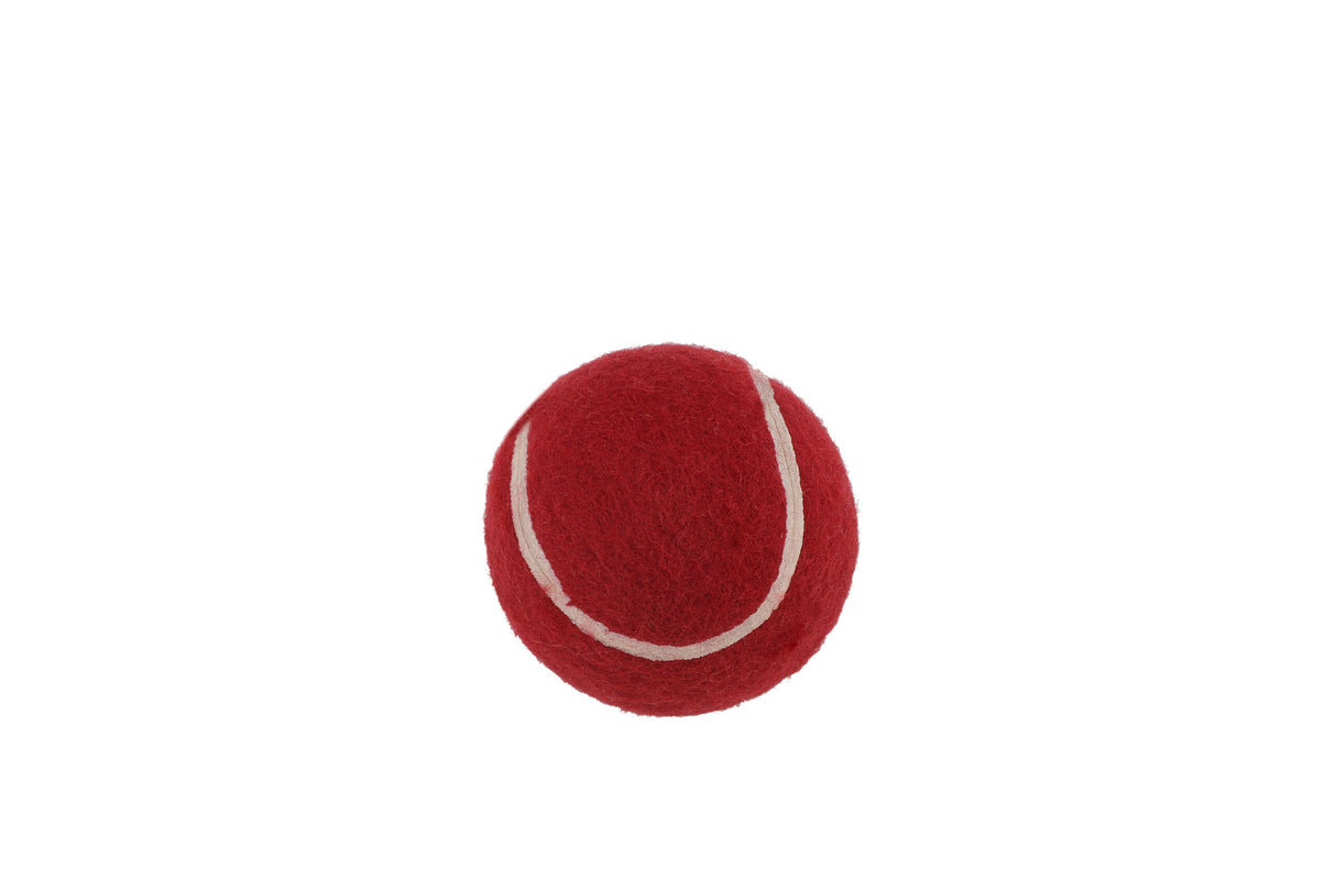 SS Mini Cricket Set | KIBI Sports