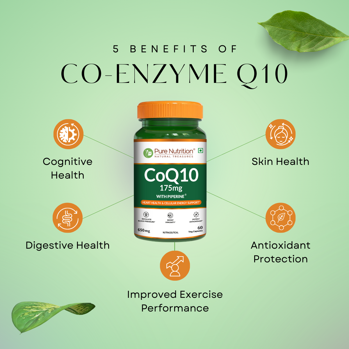 Coenzyme Q10 175mg Supports Cellular Energy & Heart Health | 60 Capsules