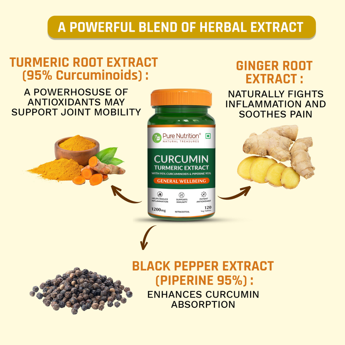 Curcumin Turmeric Extract 95% Curcuminoids & Piperine | 120 Tablets