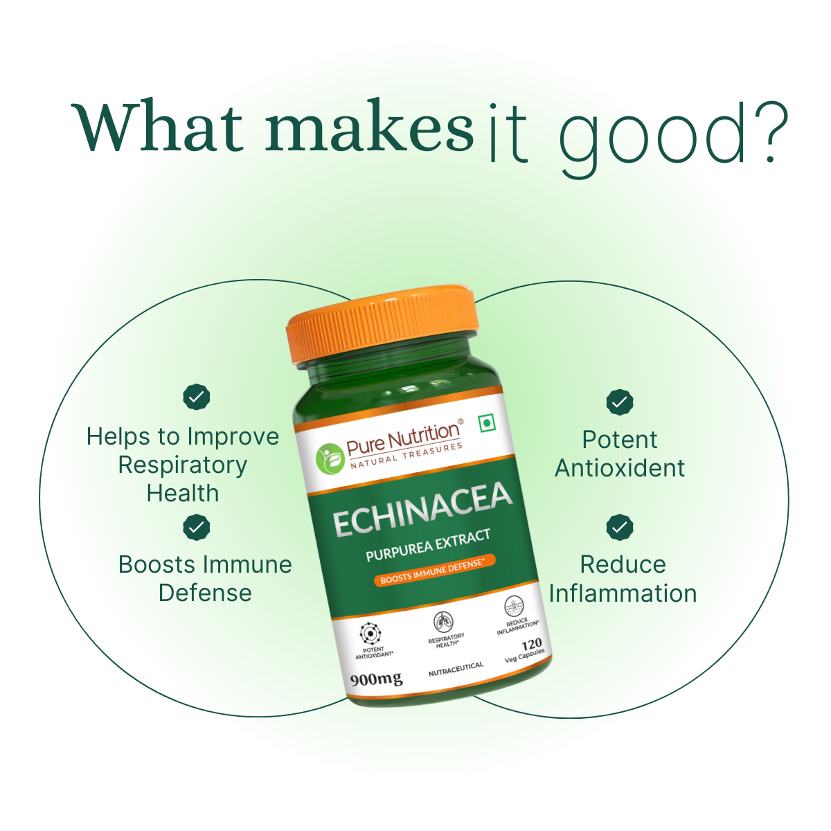 Echinacea Extract Capsules 120 Count | Immune Boost & Antioxidant Support