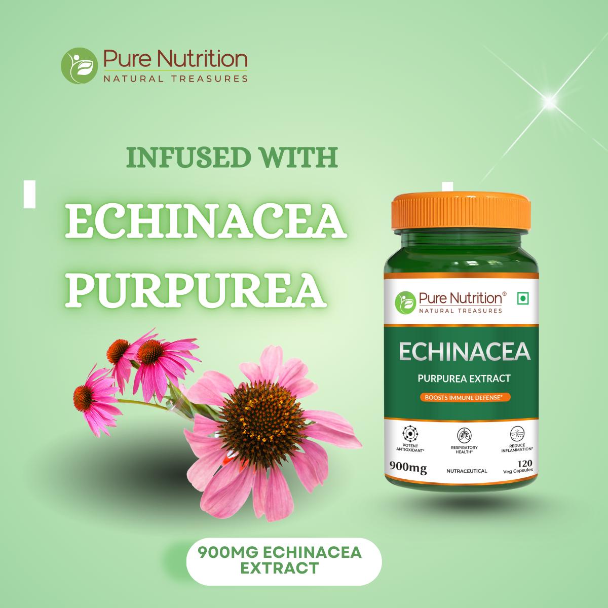 Echinacea Extract Capsules 120 Count | Immune Boost & Antioxidant Support