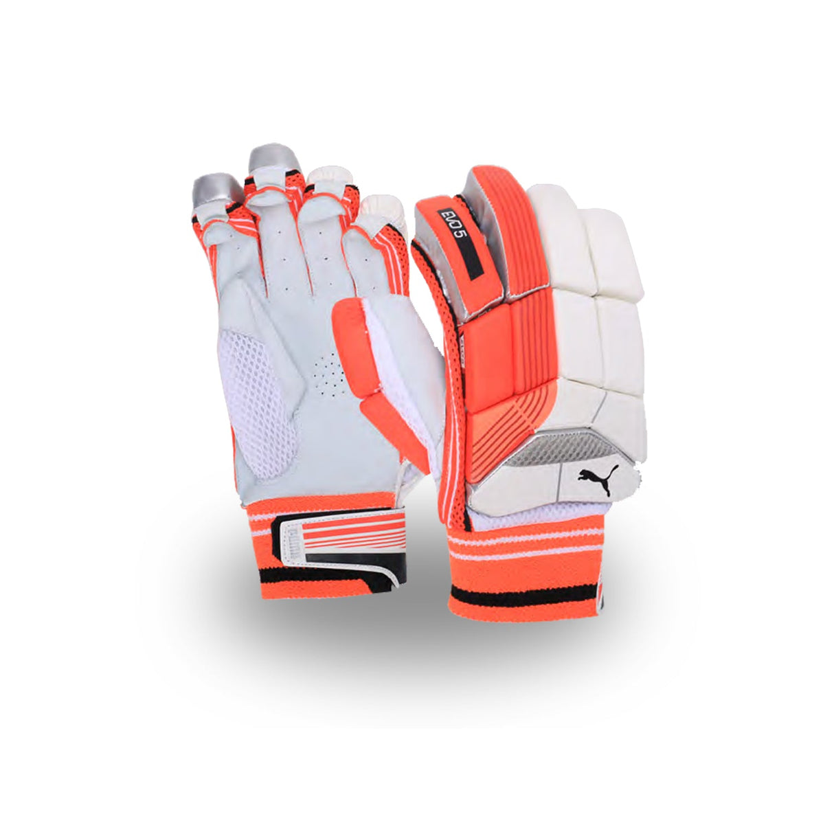 Puma EVO 5 Batting Glove | Kibi Sports Belco