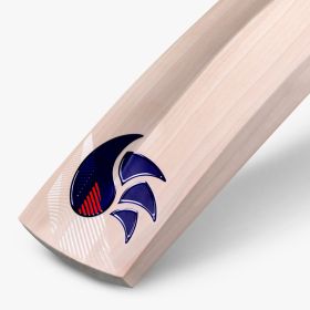 WaleZ English Willow Bat (Made in England)