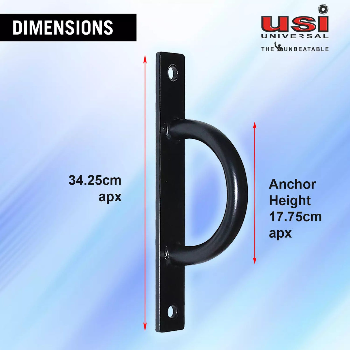USI RBA RIG BATTLE ROPE ANCHOR