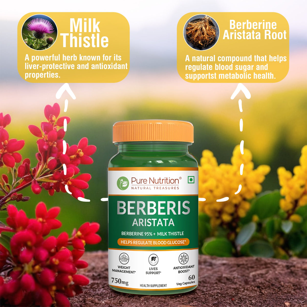 Berberis Aristata 60 Capsules Berberine 95% & Milk Thistle | Liver Support
