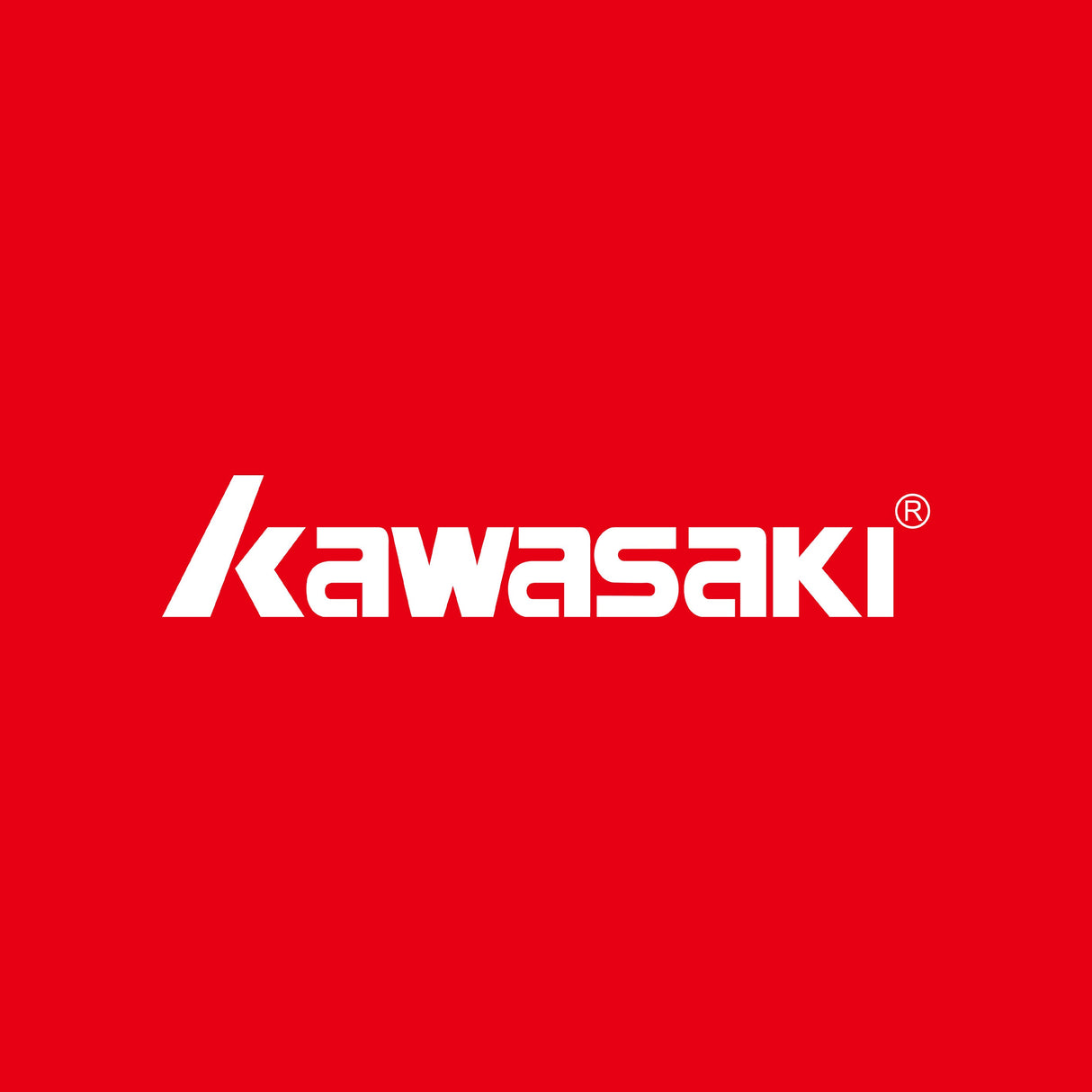 Kawasaki King N350S Nylon Badminton Shuttlecock,Slow Speed (6 Pieces)