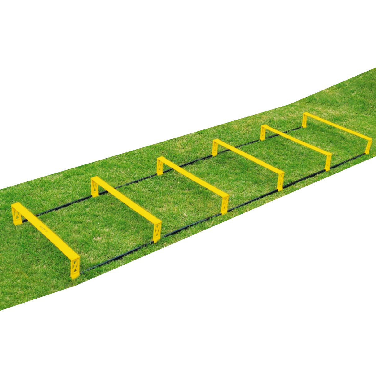 VIXEN AGILITY LADDER HURDLE 2 IN 1
