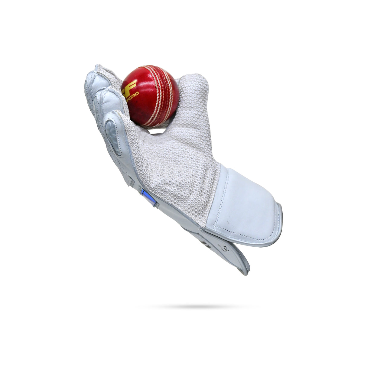 SF LE (Limited Edition) Wicket Keeping Gloves