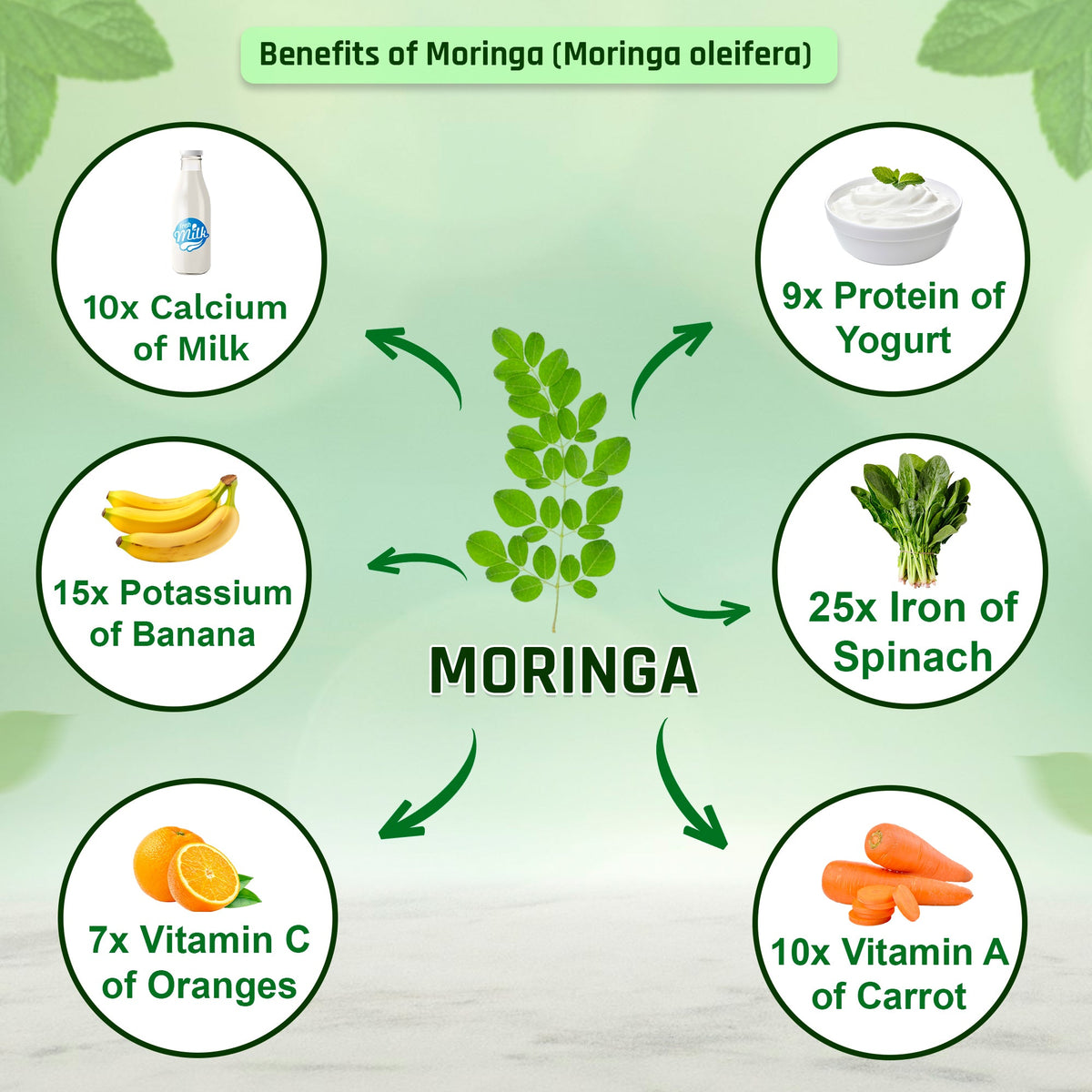 Organic Moringa Powder - 227g | 100% Pure and Natural | Supports Energy, Immunity, and Overall Wellness