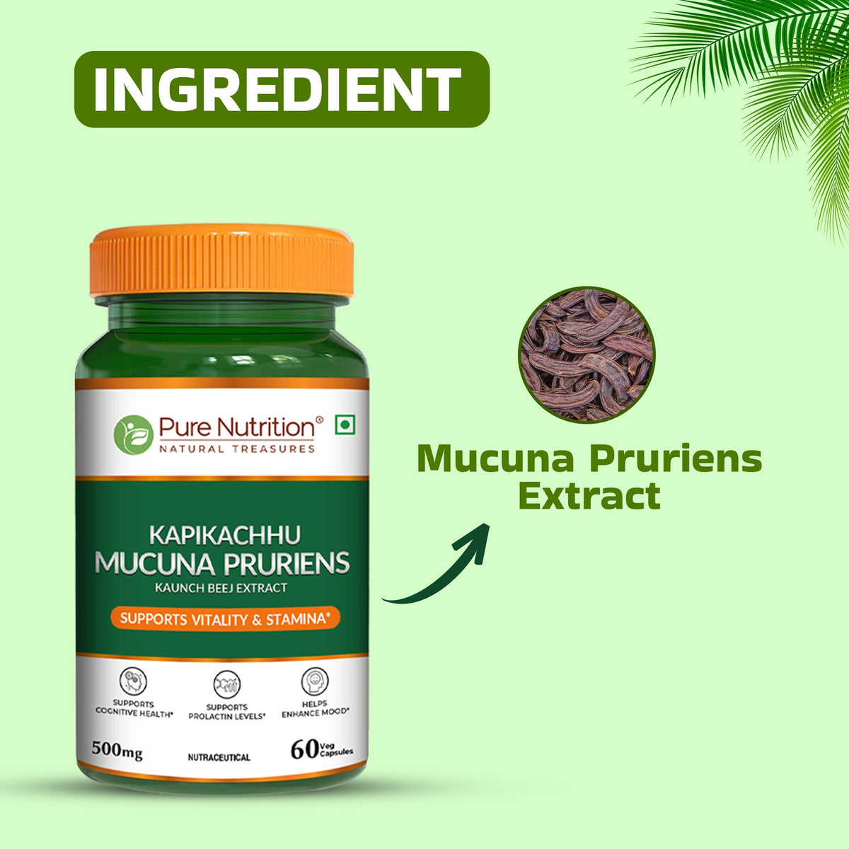 Mucuna Pruriens Extract 500mg Energy, Vitality & Mood Support | 60 Caps