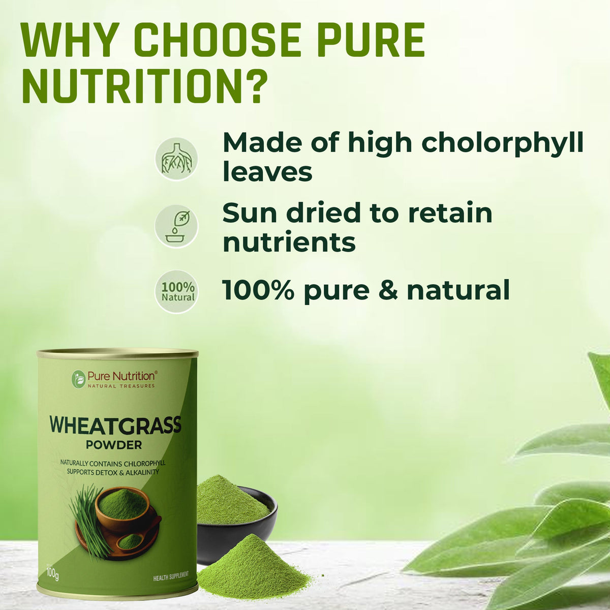 Wheatgrass Powder 100g | Detox, Alkalizing & Daily Energy Support