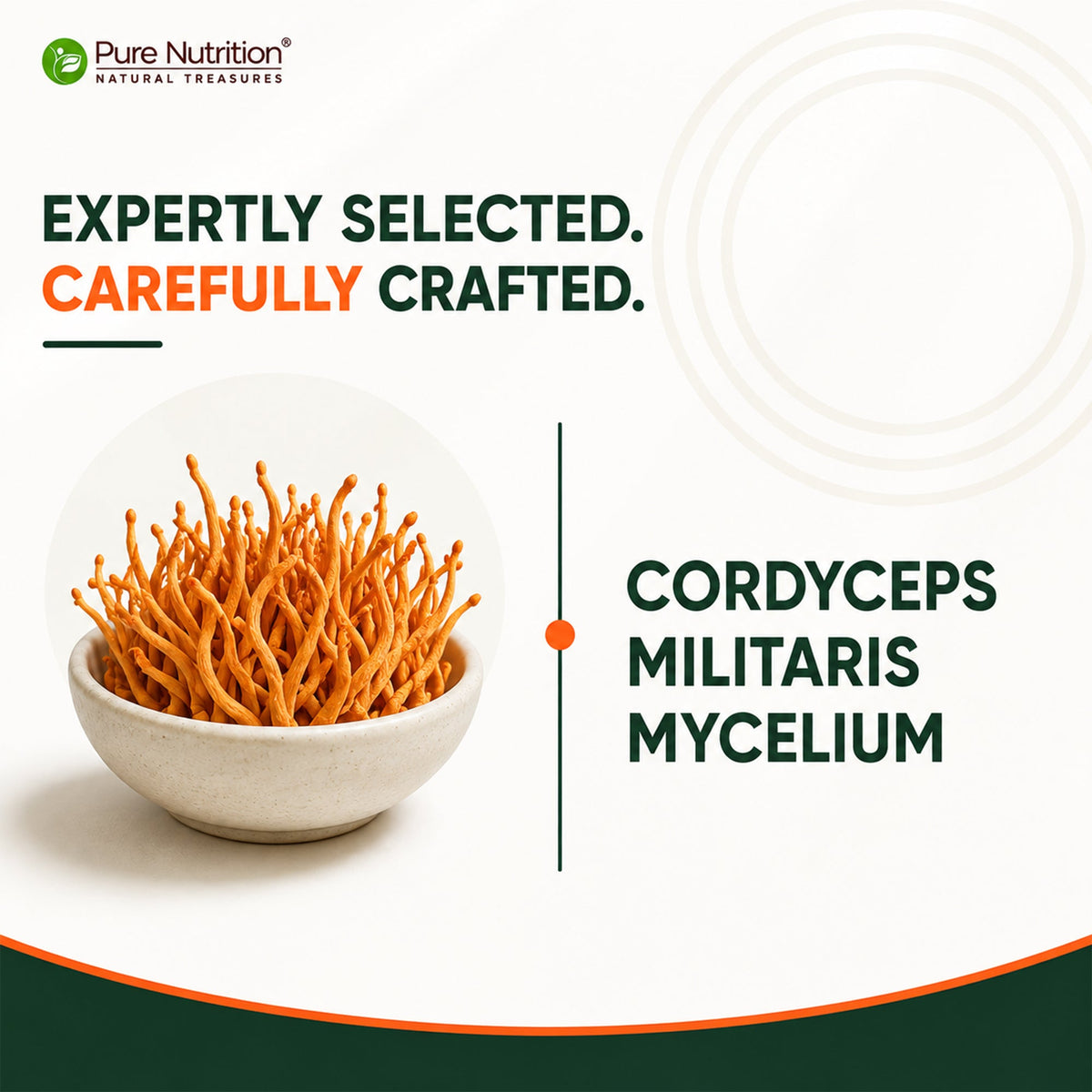 Cordyceps 500 mg | 60 Vegetarian Capsules