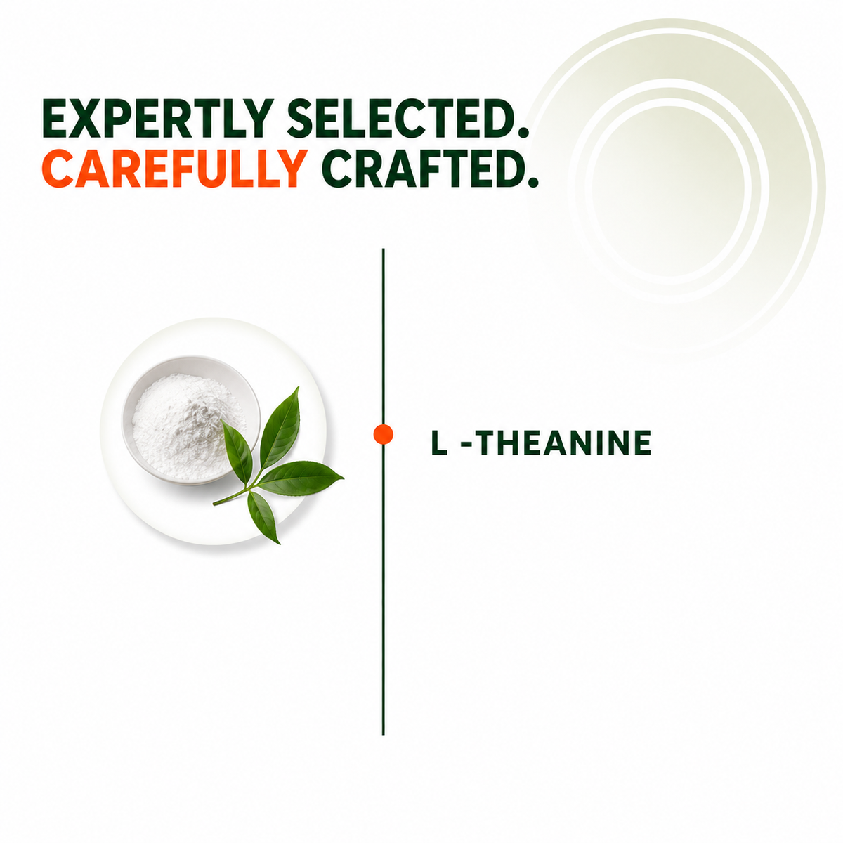 L-Theanine 200mg | Supports Calmness, Focus & Cognitive Function | 120 Veg Tablets