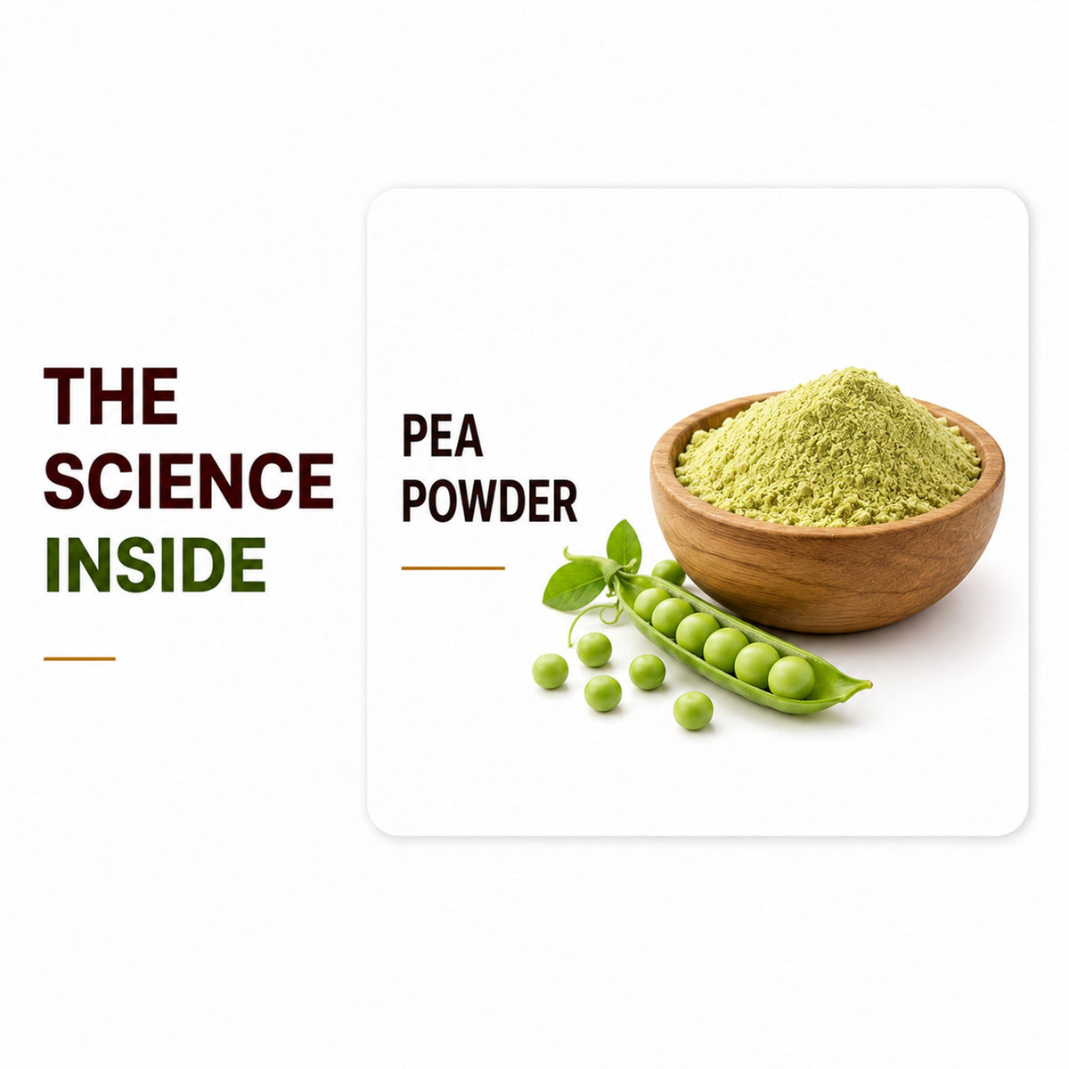Pea Protein Isolate Powder 1kg 25.5g Protein | Vegan & Dairy-Free