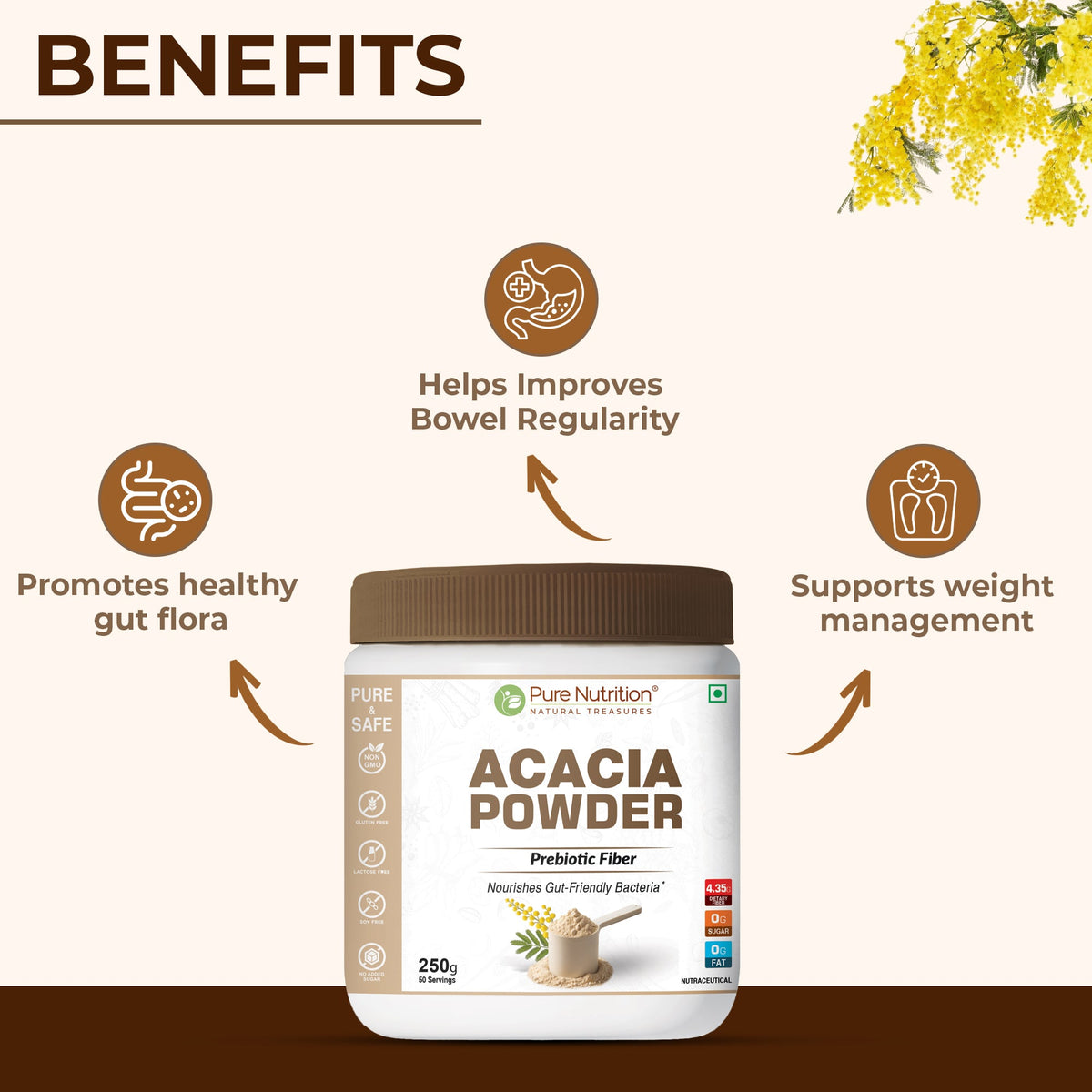 Acacia Powder Prebiotic Fiber for Gut Health & Digestive Wellness
