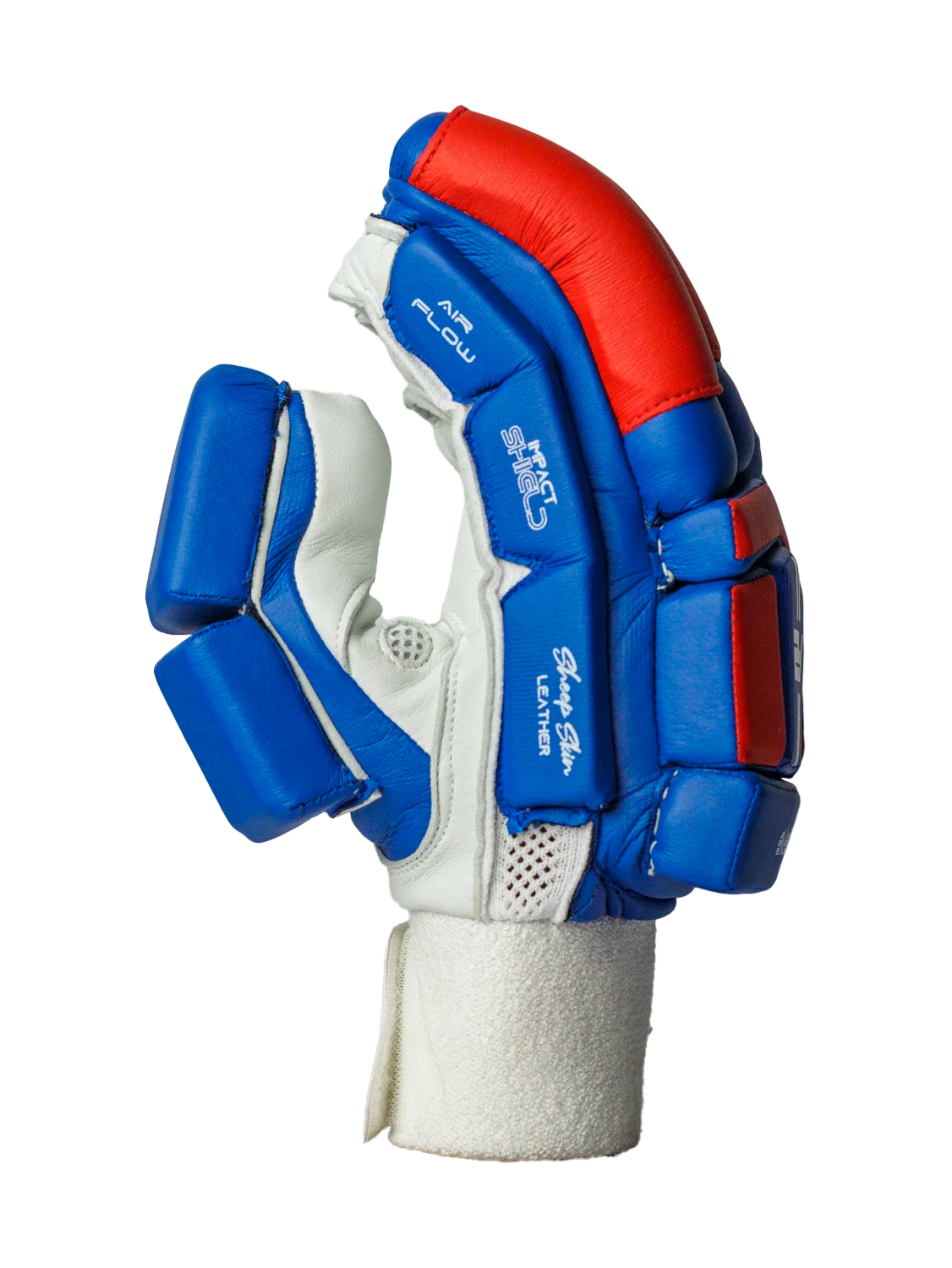 Cricket Batting Gloves - Blue & Red