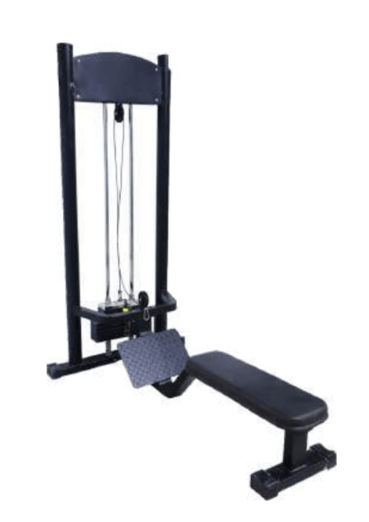 Vicky Rowing (Series 3) | KIBI Sports - KIBI SPORTS