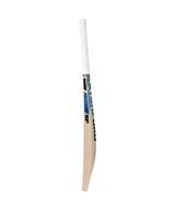 SF Triumph Dynasty English Willow Bat