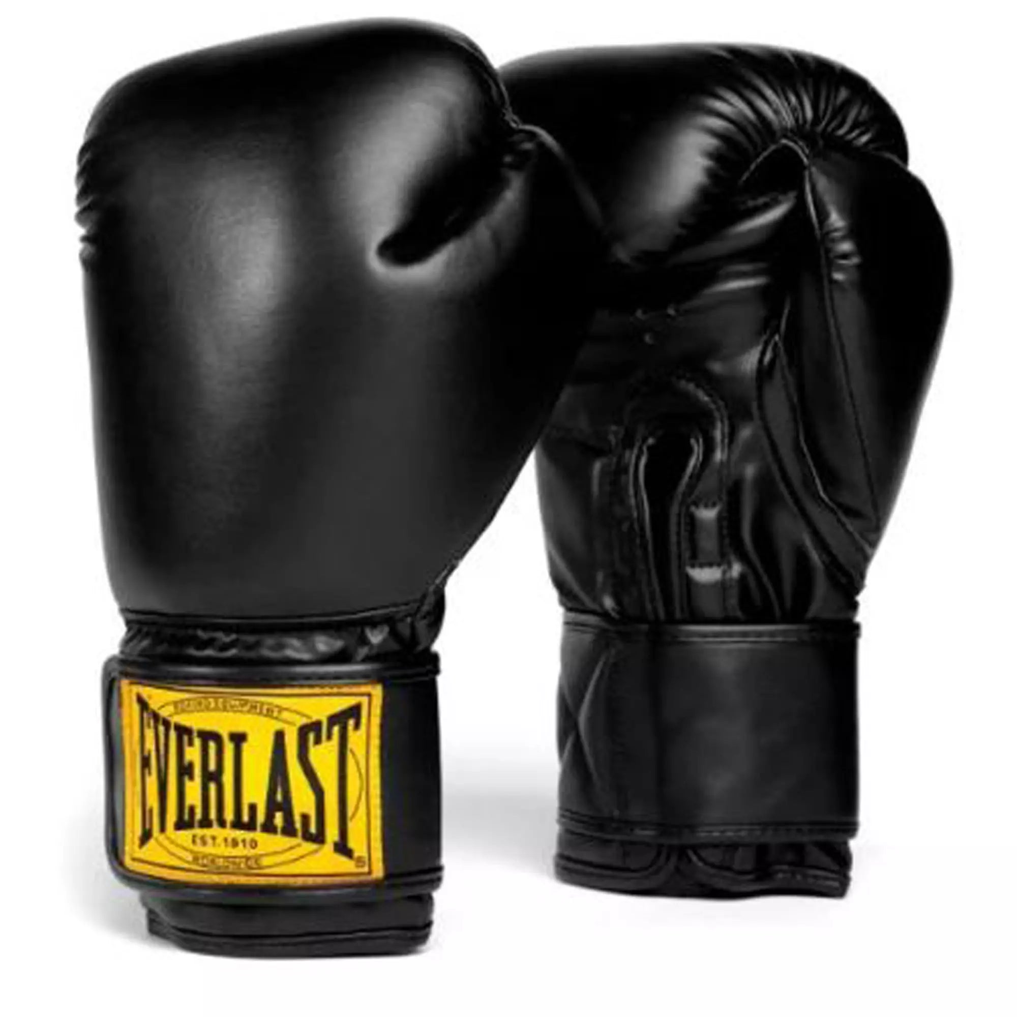 Everlast 1910 Classic Boxing Gloves