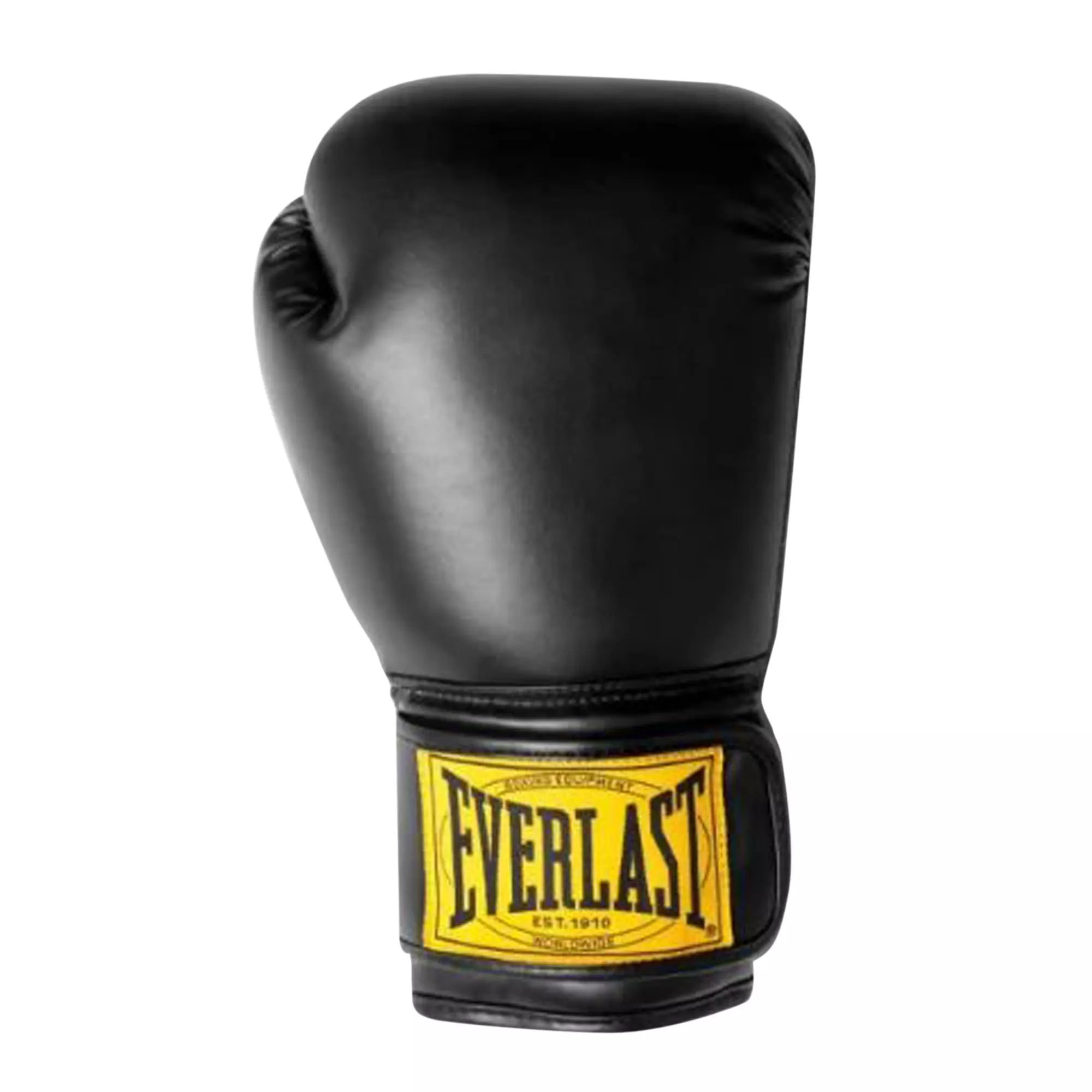 Everlast 1910 Classic Boxing Gloves