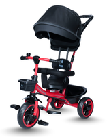 Tricycle With Canopy