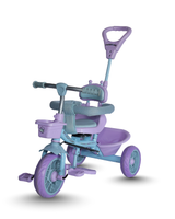 Tricycle With Harness