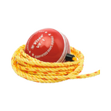 CRICKET STROKE BALL VX-1
