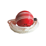 CRICKET TRAINING BALL GOLD