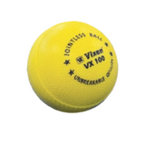 CRICKET PLASTIC BALL V 100
