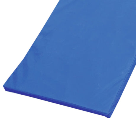VIXEN GYM MAT PREMIUM