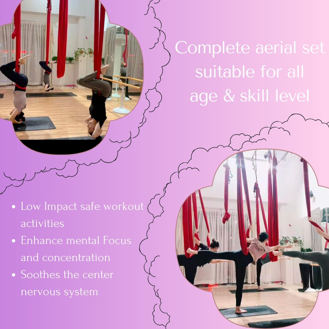 Premium 12 mtr Aerial Yoga hammock – Purple