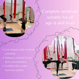 Premium 12 mtr Aerial Yoga hammock – Purple