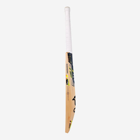 English Willow Cricket Bat - Beast Martin Guptil