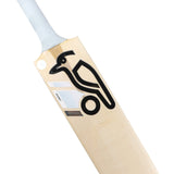 English Willow Cricket Bat - Ghost Marnus Labuschagne