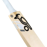 English Willow Cricket Bat - Ghost Marnus Labuschagne