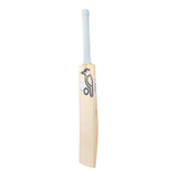 Cricket Bat Ghost Phoebe Litchfield