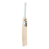 Cricket Bat Ghost Phoebe Litchfield