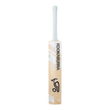Cricket Bat Ghost Phoebe Litchfield