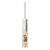 English Willow Cricket Bat - Ghost Pro 1.0