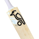 English Willow Cricket Bat - Ghost Pro 4.0