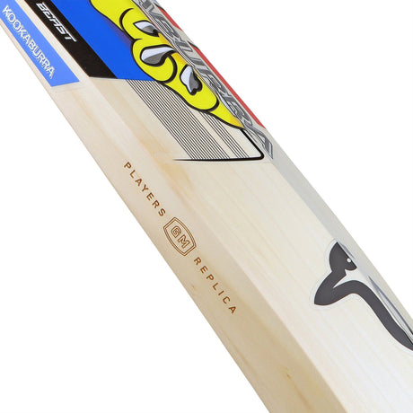 English Willow Cricket Bat - Beast Glenn Maxwell