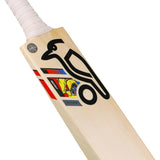 English Willow Cricket Bat - Beast Glenn Maxwell