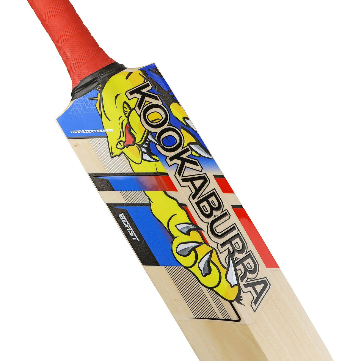 English Willow Cricket Bat - Beast Pro Players