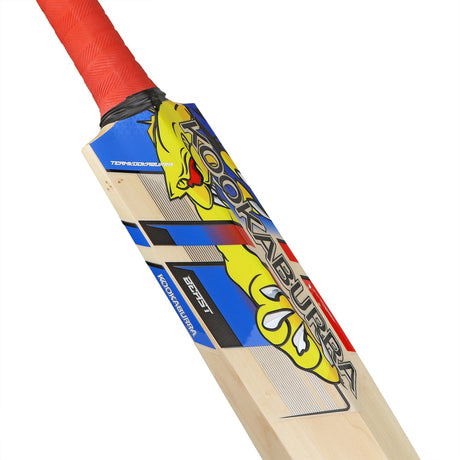 English Willow Cricket Bat - Beast Pro Players