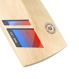 English Willow Cricket Bat - Beast Pro Players
