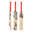 English Willow Cricket Bat - Beast Pro Players