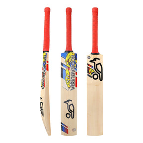 English Willow Cricket Bat - Beast Pro Players
