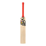 English Willow Cricket Bat - Beast Pro Players