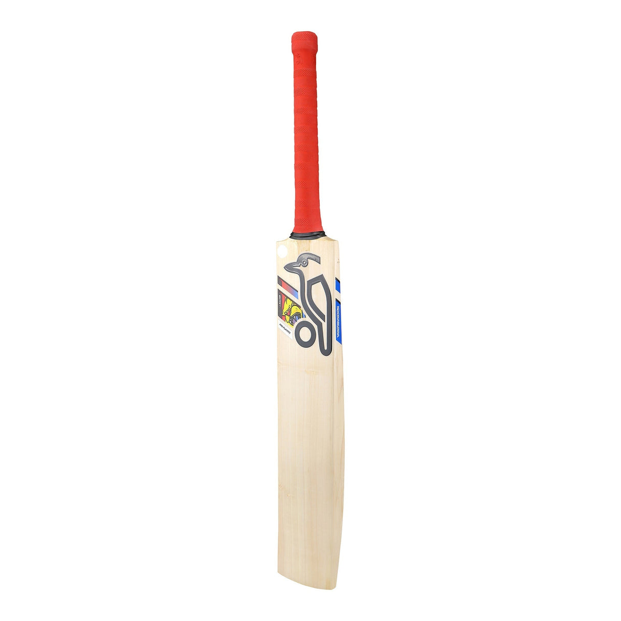 English Willow Cricket Bat - Beast Pro Players