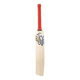 English Willow Cricket Bat - Beast Pro Players